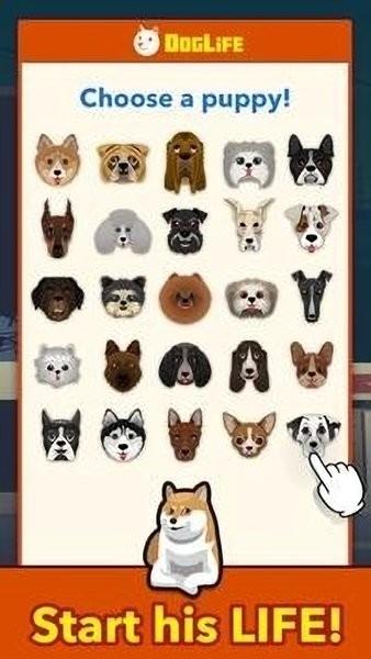 doglife游戏下载,经营游戏,治愈游戏,doglife