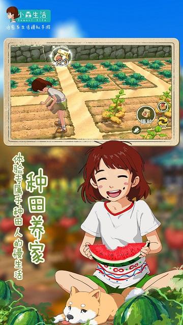 小森生活虫虫助手版下载,小森生活,剧情手游,rpg手游